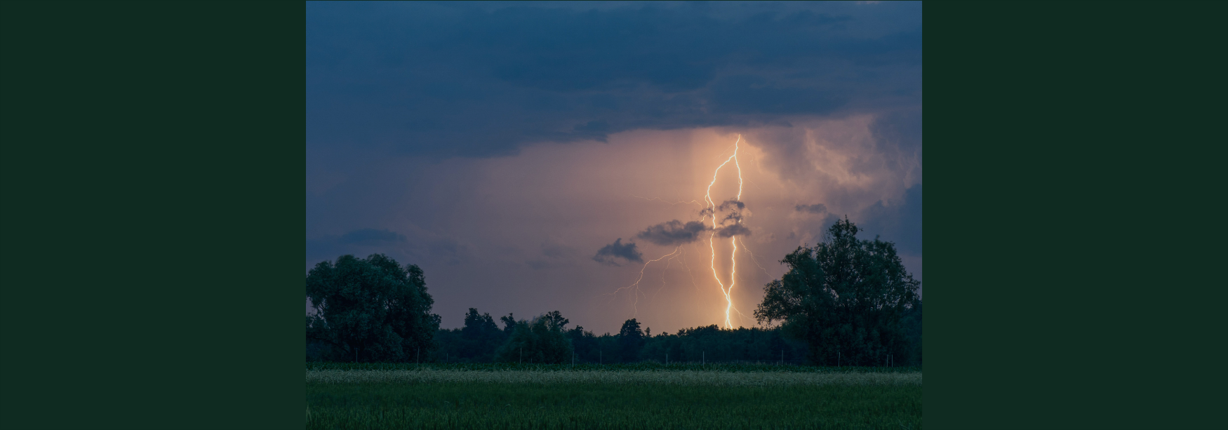 lightning is striking the ground with trees in foreground