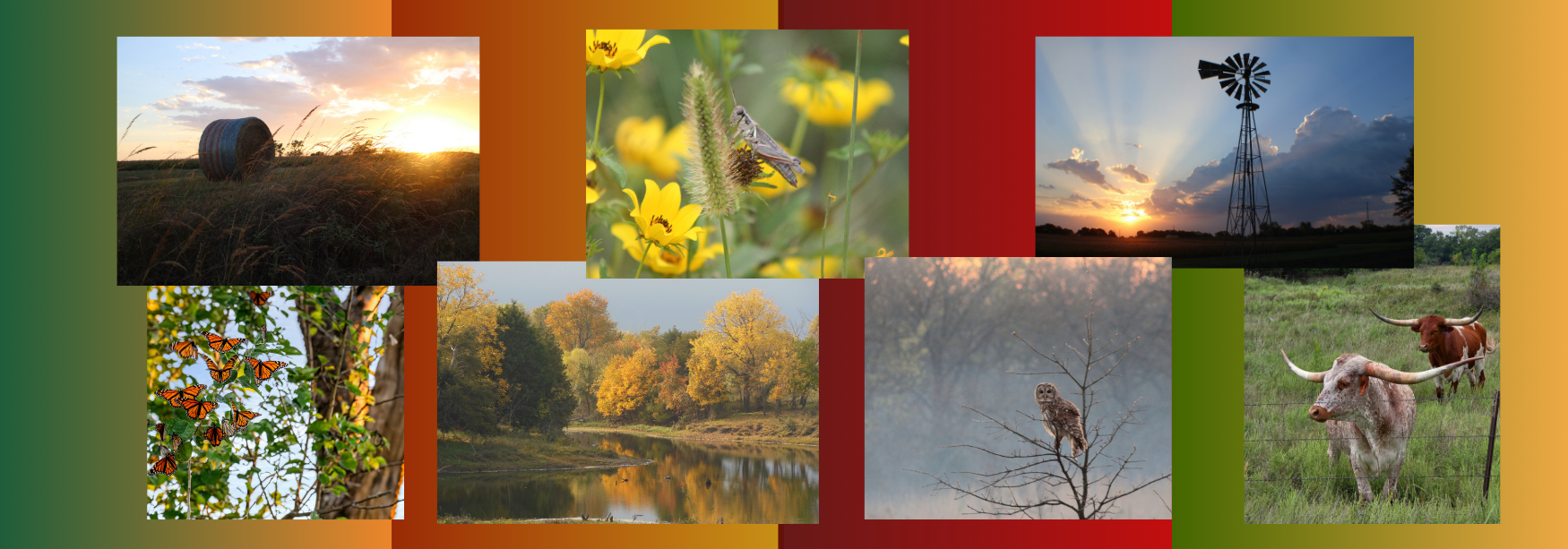 Seven photos over a multicolored background