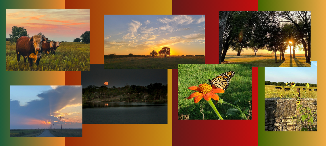 Collage of seven photos with rural scenes.